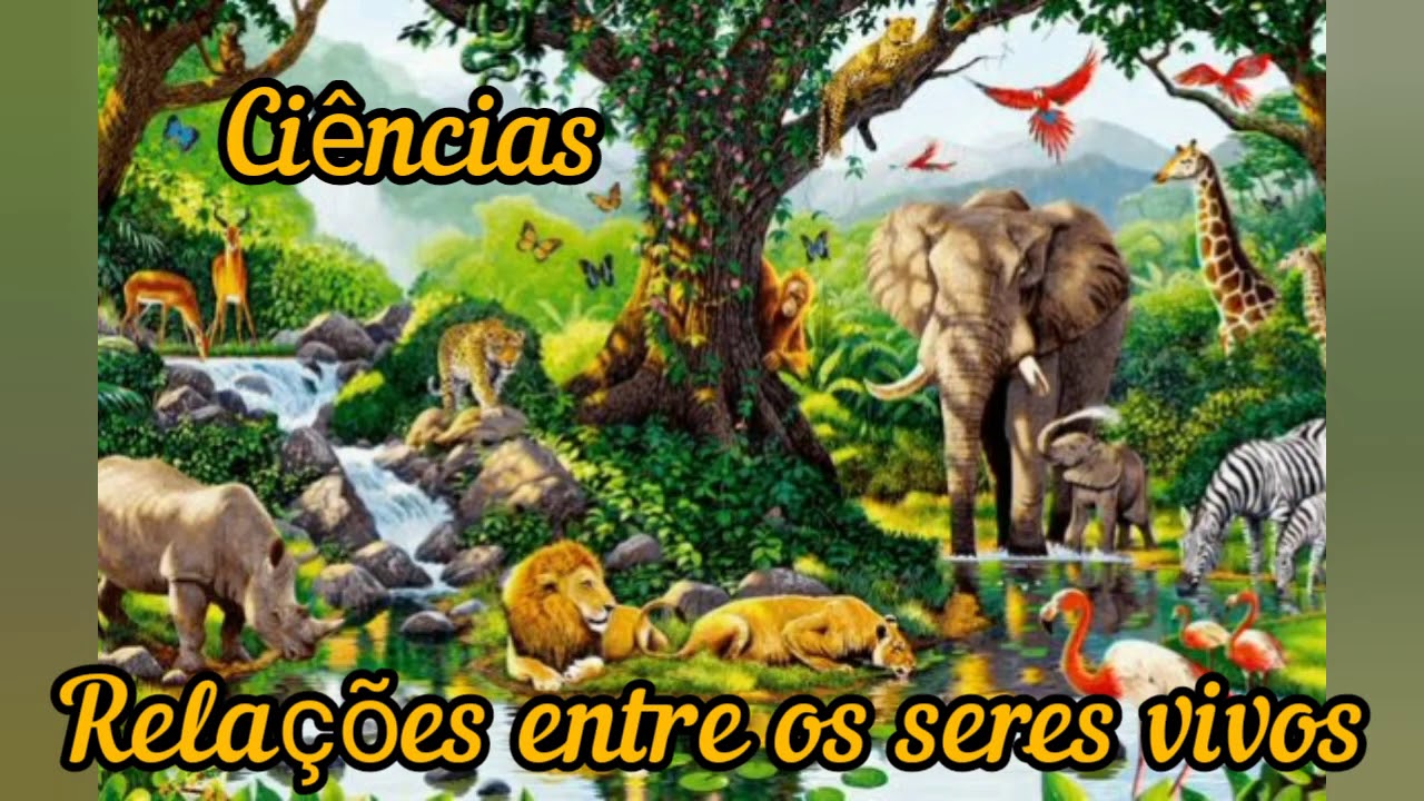 Interacoes Entre Os Seres Vivos Nos Ecossistemas, As Relações Entre