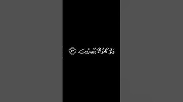 القارئ عبدالرحمن مسعد #قرآن  #المصحف #اكسبلور #القزابري