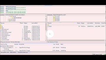 How to make a full backup of your server