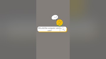 Why did the Computer catch a cold? #shorts #funny #jokes