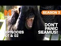 An Alpha Male Face Off | Season 3 Episodes 1 &amp; 2 | Full Episodes | Monkey Life