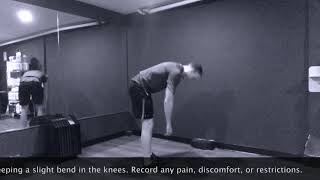 Toe Touch Test - Upside Strength Exercise Library