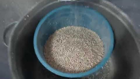 sunflower seeds color sorting machine , color sorter for sunflower seeds