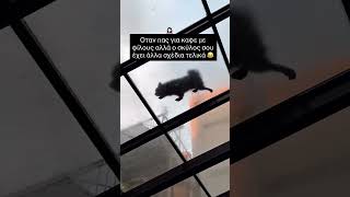 Οταν πας για καφέ με φίλους αλλά ο σκύλος σου έχει άλλα σχέδια τελικά 😂 #κατοικιδια
