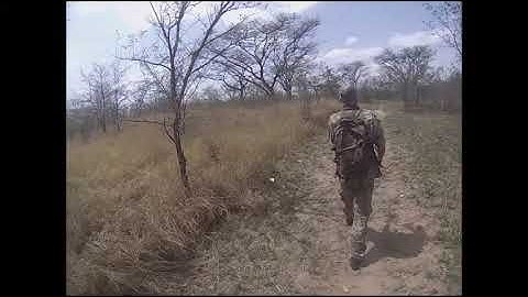 Close Encounters: Huge African Rock Python