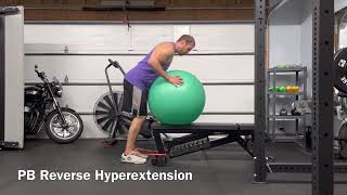 PB Reverse Hyperextension