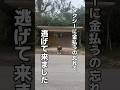 #沖縄北部 #沖縄ホテル