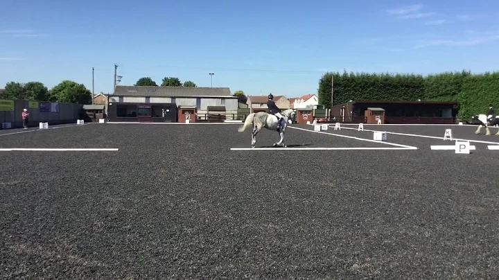 Susan Hardman Riding Hillvilla Super Nova