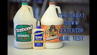 Glue Test  Which is BEST for EXTERIOR Use? // Woodworking // DIY
