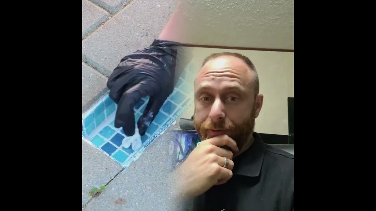 This is so funny, I couldn't stop laughing ???????? #funny #doddlersoftiktok #funnyvideos #duet