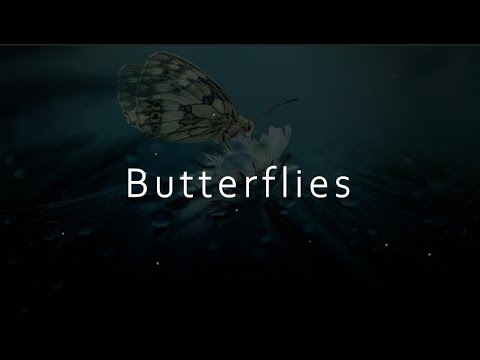 William Black & Fairlane - Butterflies (feat. Dia Frampton) (한국어,가사,해석,lyrics)