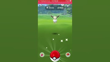 OMG 3RD SHINY EEVEE IN POKÉMON GO BUT FAILED 😞