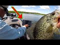 SLAB CRAPPIE FISHING SECRETS!!! Catch Clean and Cook