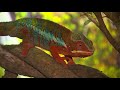 Riverside Reptiles - WFSB 2-2021