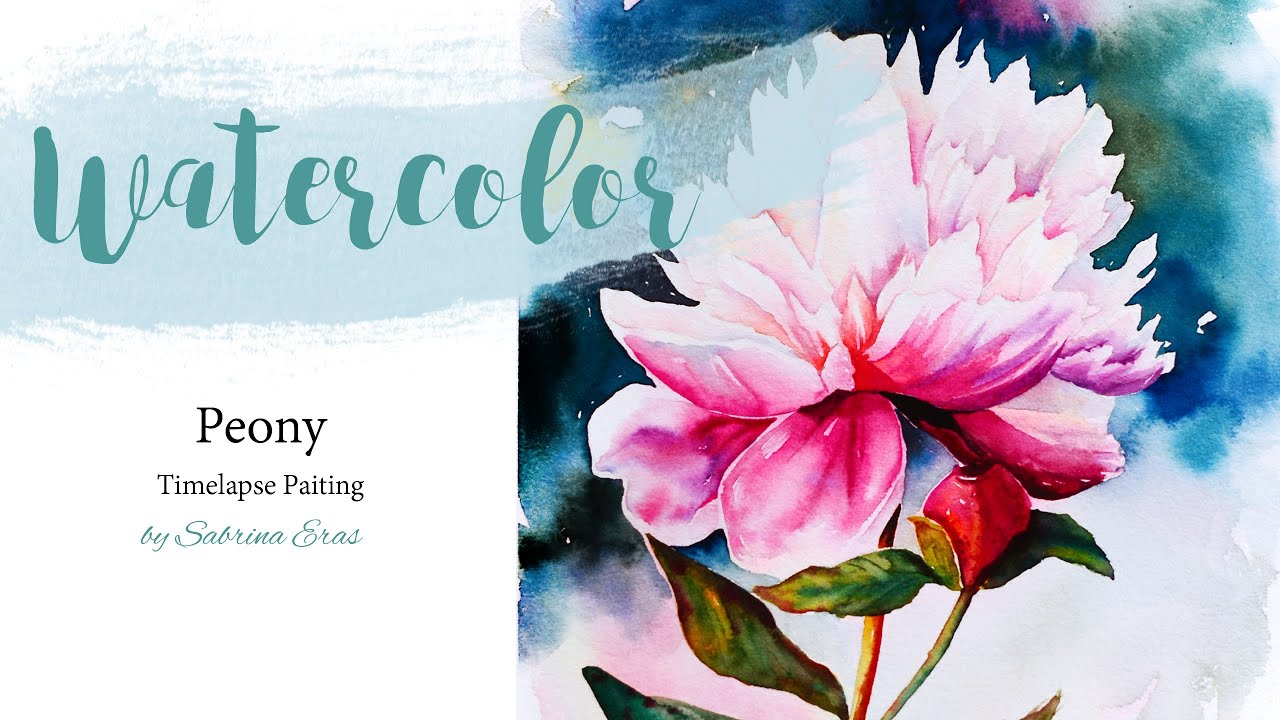 Peony - Watercolor