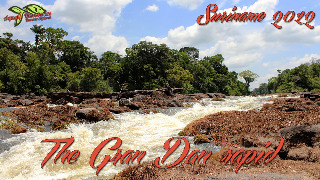Gran Dan rapids in the Gran Rio in Suriname