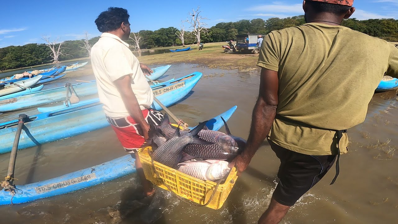 හම්බෙගමුව ඔරු තොටුපොළට 🍃😲 ​@IslandFishing2 වසන්ත අයියාත් එක්ක..