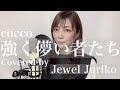 強く儚い者たち/Covered by Jewel Juriko