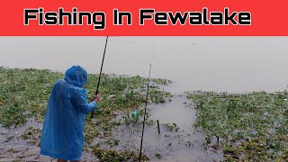 फेवातालमा मांगुर माछा || Cat Fish In Fewalake || Fishing In Fewalake ||