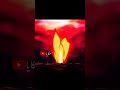 تصميم لوفي كايدو يبكي من خوف من جوي بوي ون بيس 