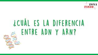 GENÉTICA: ¿CUÁL ES LA DIFERENCIA ENTRE ADN Y ARN?