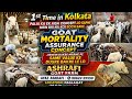Palai Ka Ek Naya Concept | Bakre Marne Pe Same Value Ke Dusre Bakre Le Lo | Ashrafi Goat Farm #goat