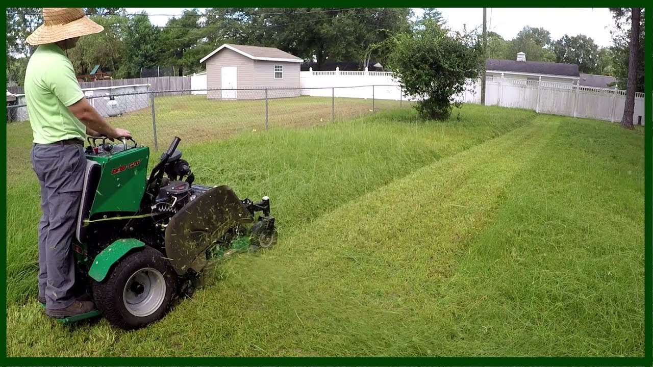 Mowing Tall Thick Grass  Really Tall, Really Satisfying 
