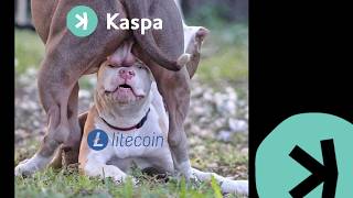 Kaspa KII unleashing on-chain energy trading
