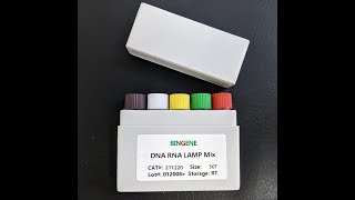 DNA RNA LAMP Mix