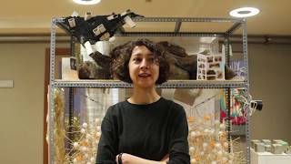 Bostanlar Üzerine Röportajlar Bostanların Ne Kadar Farkındayız?