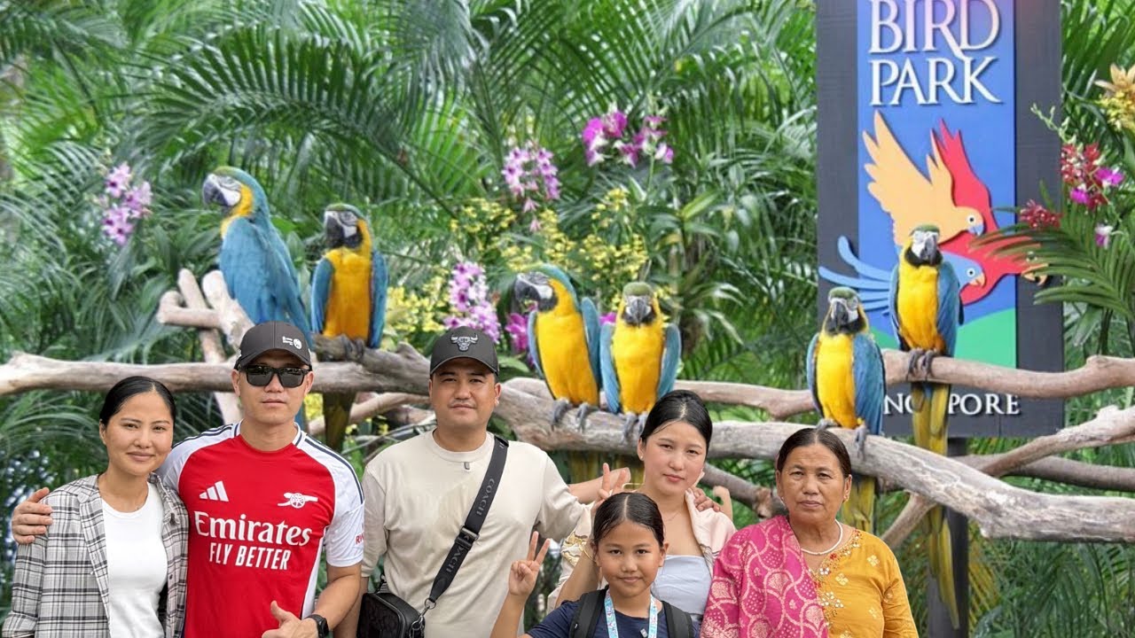 BIRD PARADISE OF SINGAPORE #birds #beautiful 