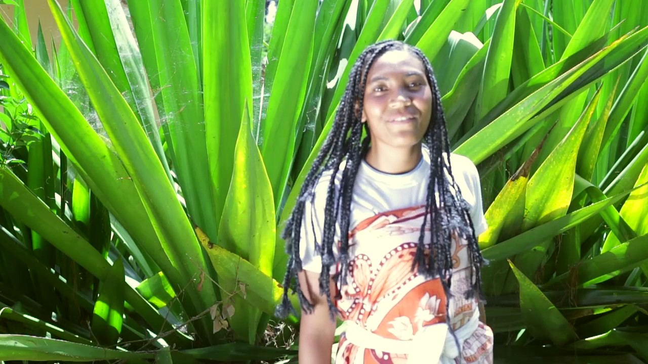 Feo Miantso TSARAHONENANA-An'Iza Ity Tany Ity