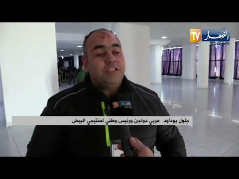 هكتار بطاطا ب1 2 مليون دج والفلوس ب250 دج إرتفاع تكاليف الإنتاج