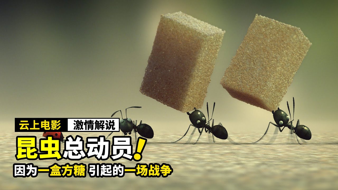 因为一盒糖 引起了蚂蚁的世纪大战 动画电影 昆虫总动员 Youtube
