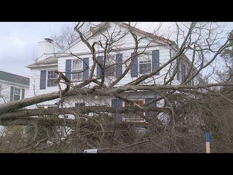 Northeast Ohio wind storm: Thousands remain without power - YouTube
