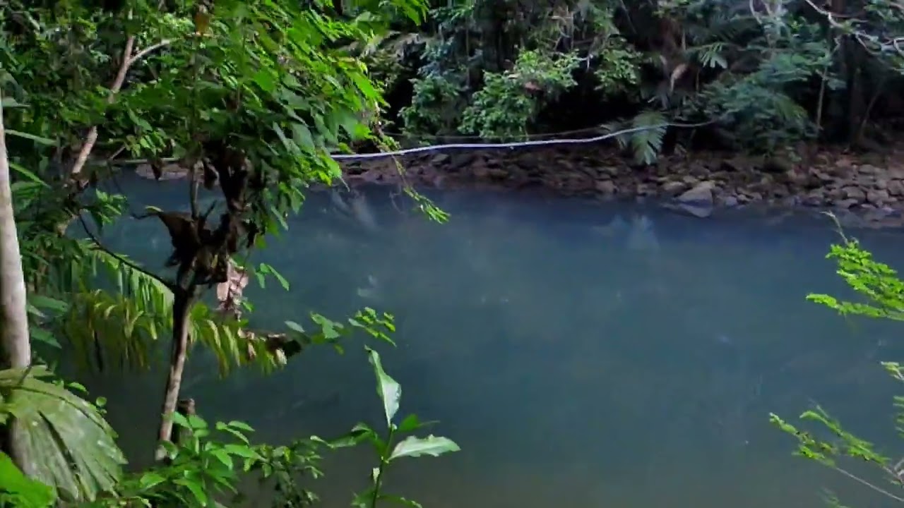 Jalan Menuju Curug  Cikahuripan Leuweung Sancang, Sancang, Cibalong Garsel