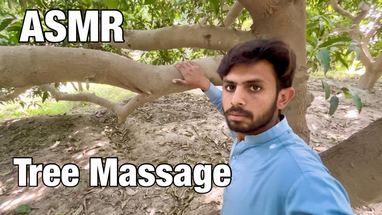 ASMR | Giving A Tree Massage 🌳