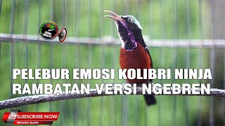 KONIN NGEBREN RAMBATAN FULL PANJANG PELEBUR EMOSI KOLIBRI NINJA ! MASTERAN KONIN
