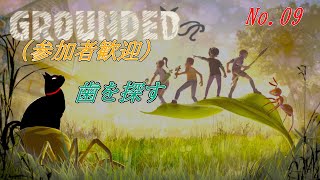 「GROUNDED 」 10