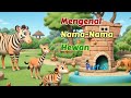 Belajar mengenal nama nama hewan untuk anakanak  part2