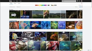 Flickr Search screenshot 5