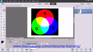 Adobe Photoshop Elements 12 Tutorial Making Selections Employee Group Training  8.3