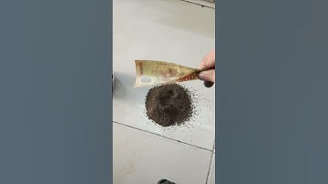 Cho Thức ăn vào lọ Siêu trí tuệ #shorts #bettafish #betta #betta #cabaymau #ca7mau #cá #cakieng