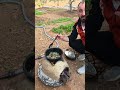 اكسبلور قوانص كبدة عبصل بندورة طريقة كتير بتشهي بالفخارة
