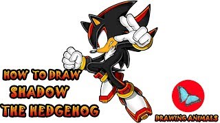 How To Draw Shadow The Hedgehog | Drawing Animals