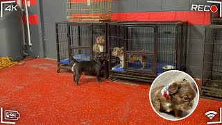 I’ll Show  Everyone …🤬