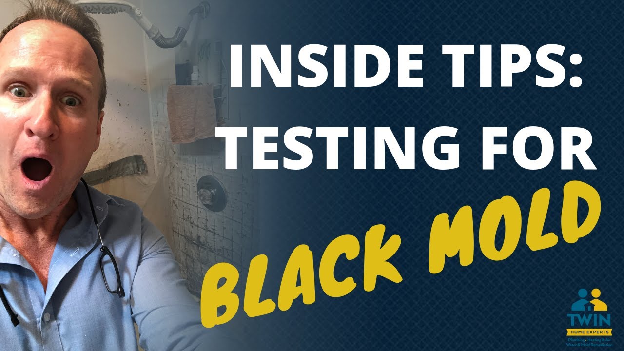 How to Test for Black Mold in the House? - Five Boro Mold Specialist