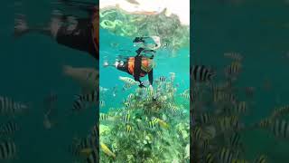 Pasir putih, air laut jernih, dan matahari yang hangat. Gili Nanggu, kamu sempurna!✨