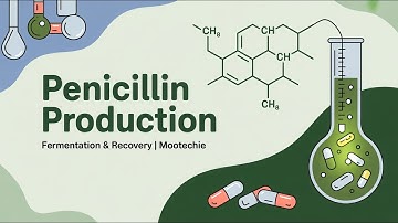 Penicillin Production Explained | Industrial Microbiology | Fermentation & Recovery | Mootechie