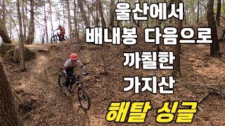 울산에서 두번째로 까칠한 해탈 싱글!(#수선#갈매기#라인emtb클럽)